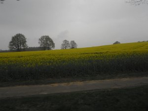 Buchholz 2010 094
